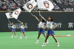ファイターズガール