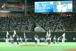 ファイターズガール