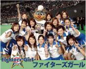 ファイターズガール